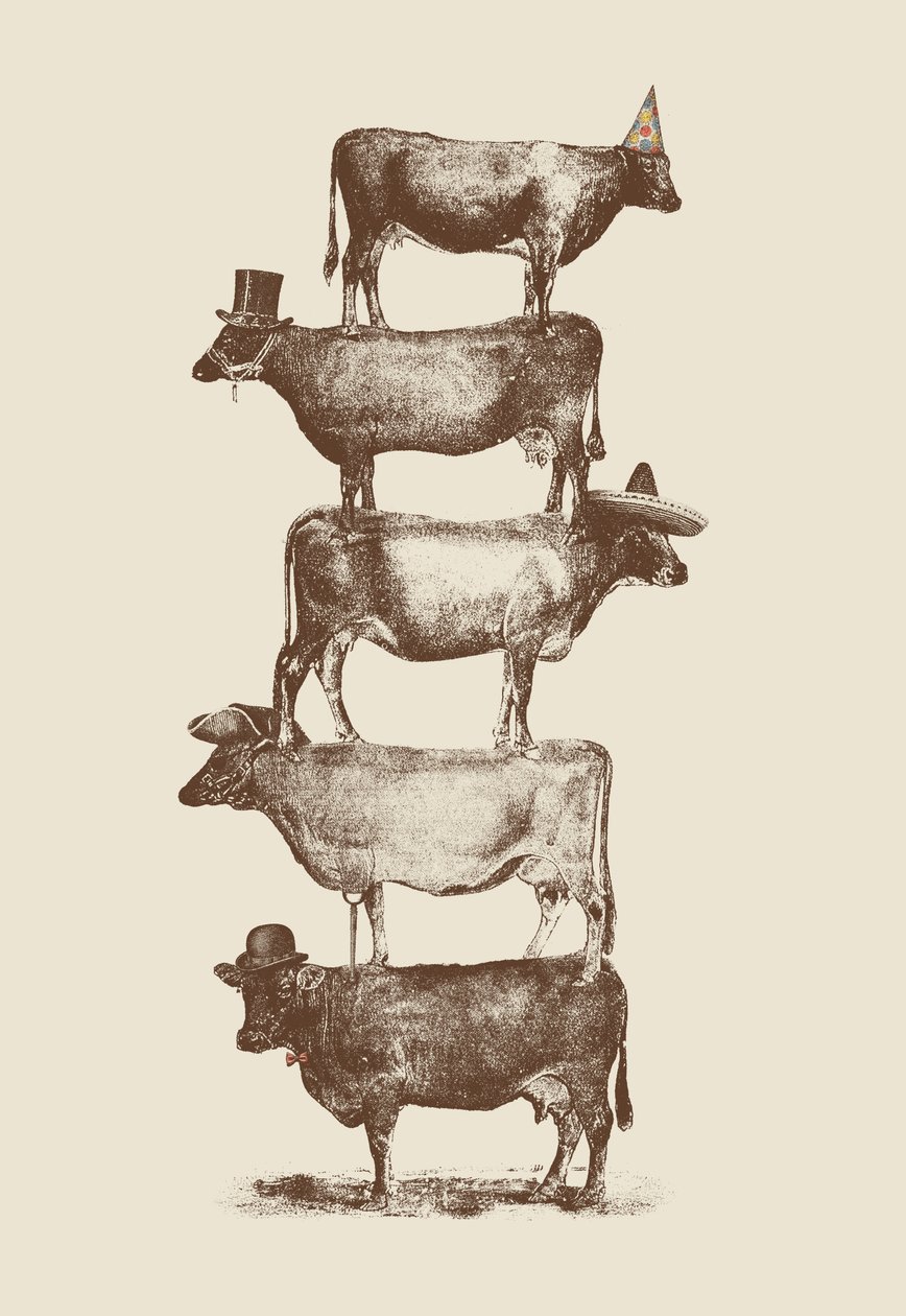 Cow Cow nøtter av Florent Bodart