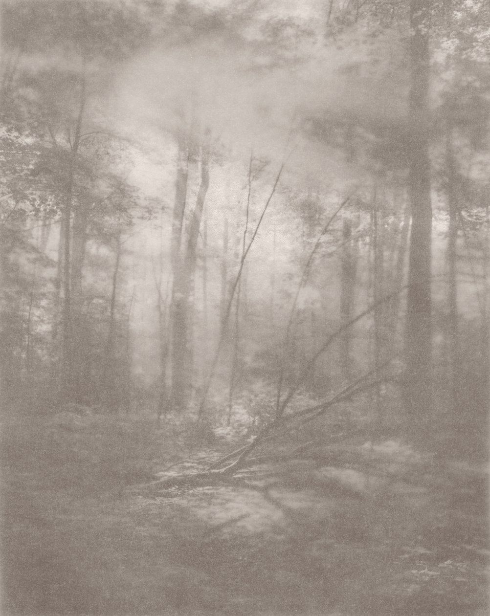  av Florent Bodart