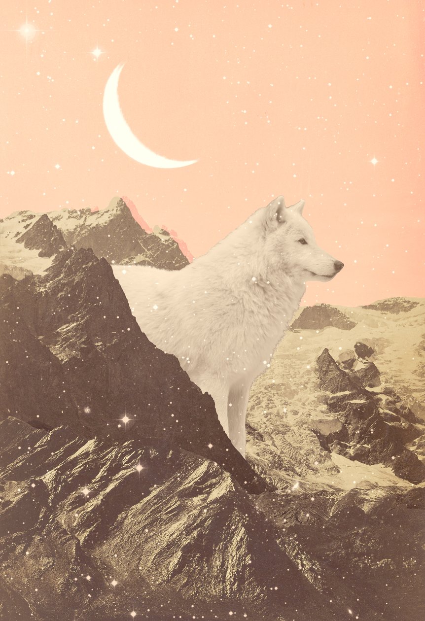 Giant Wolf in Pink Mountains, 2021 (collage) av Florent Bodart