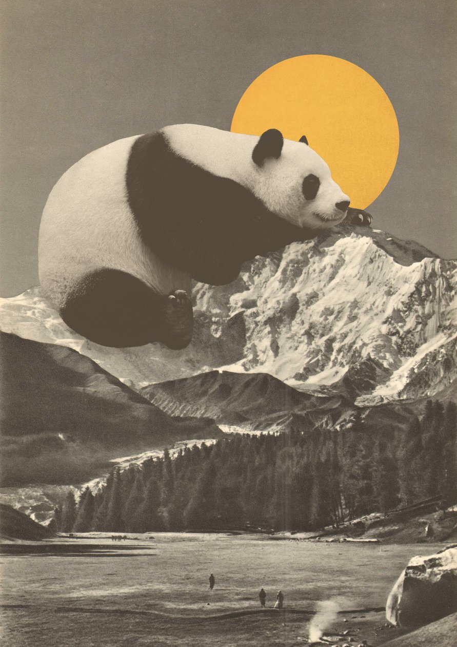 Pandas lur inn i fjellene av Florent Bodart