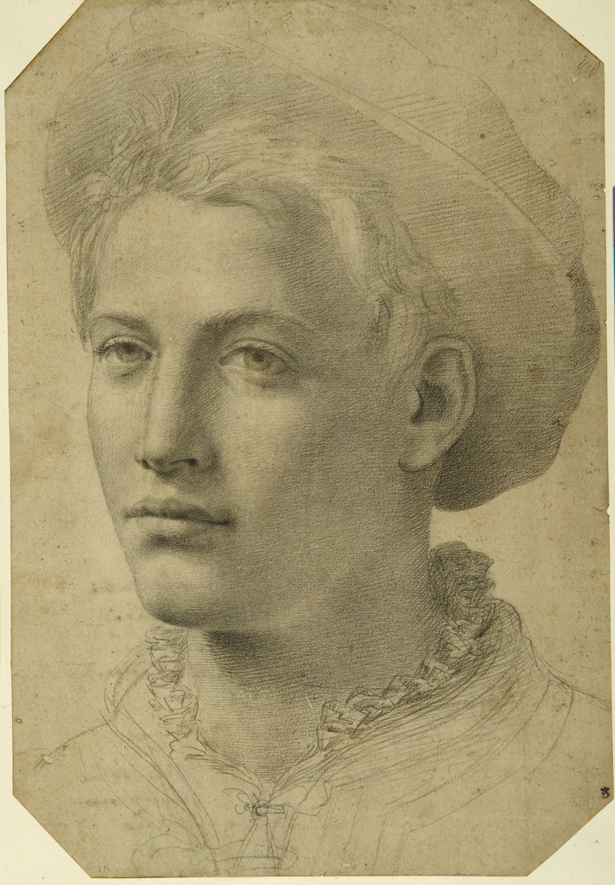 Portretthode av en ungdom med caps, ca. 1530-40 (svart kritt på hvitt papir) av Florentine School