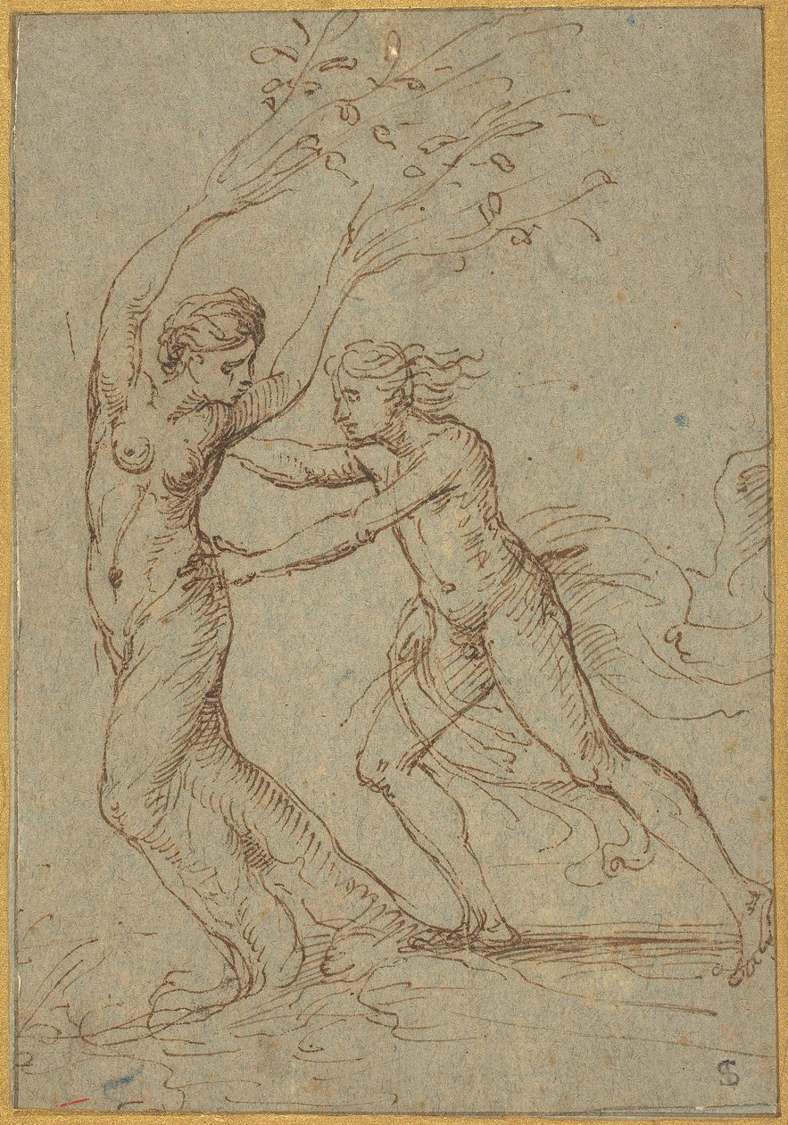 Apollo og Daphne av Follower of Giulio Romano
