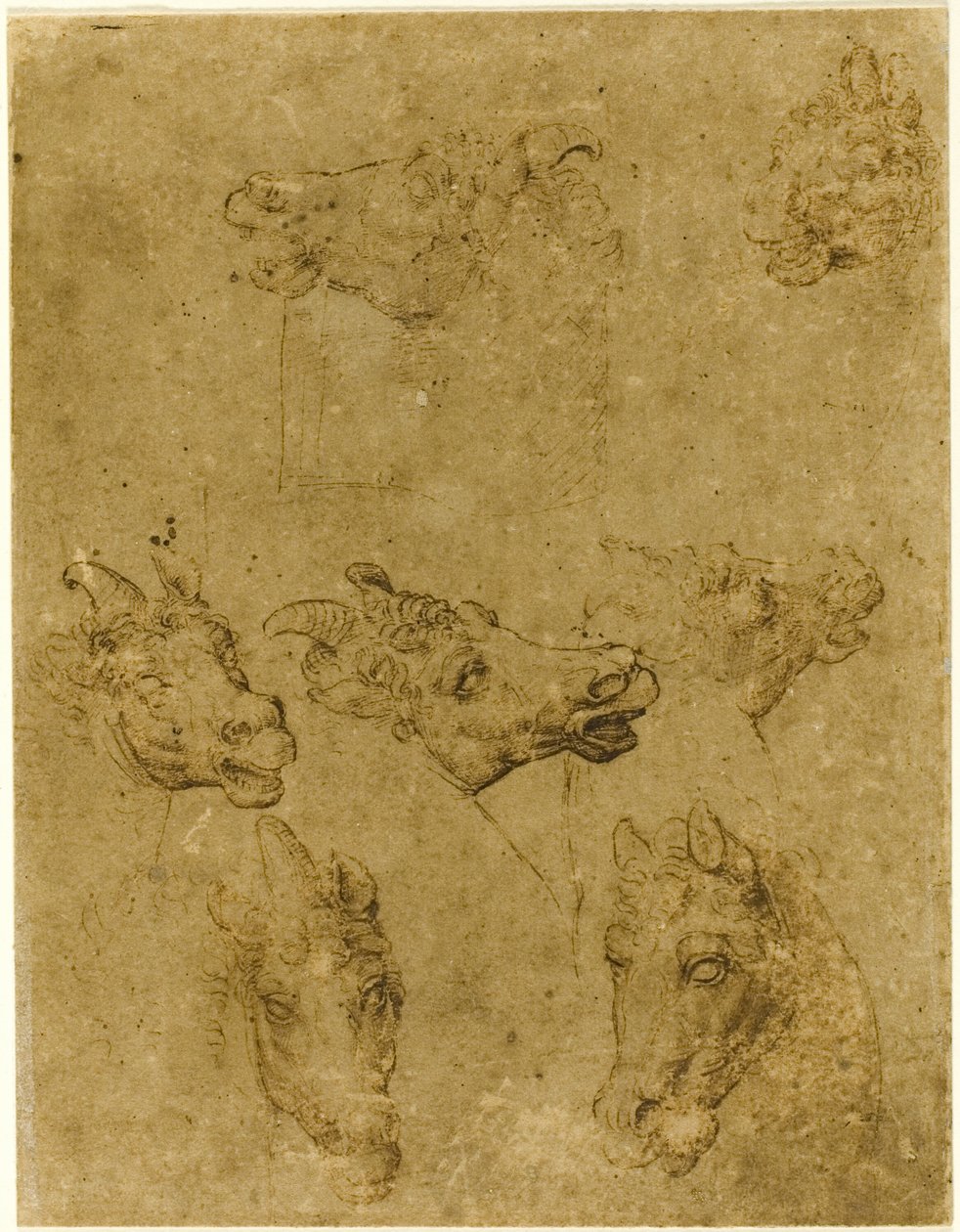 Hoder av hester og enhjørninger av Follower of Leonardo da Vinci