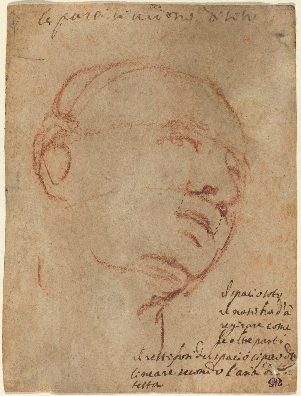 Leder av en mann av Follower of Michelangelo