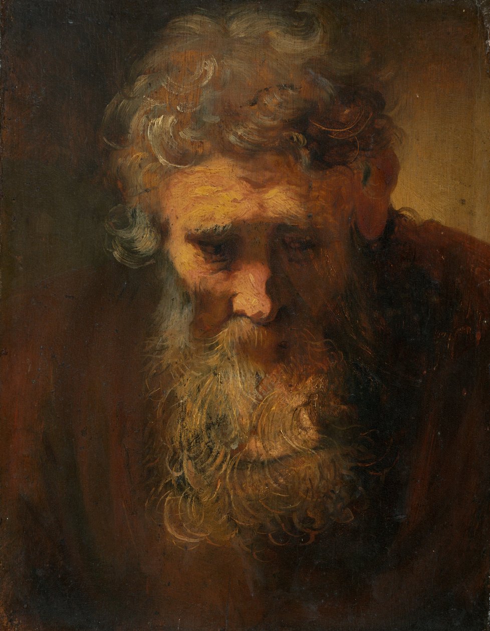 Studie av en gammel mann av Follower of Rembrandt van Rijn