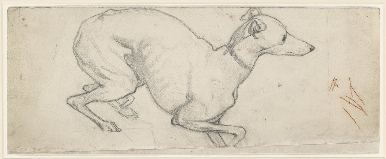 Studie av en Greyhound (grafitt på off-white papir) av Ford Madox Brown