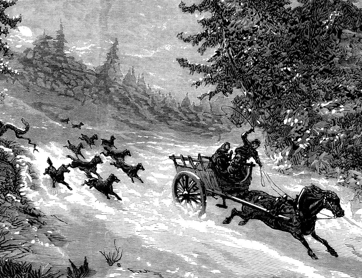 Frykten for ulven: En ulveflokk forfølger en vogn med tre personer, trukket av en hest som løper vekk i snøen, i en skog i Ardennene - gravering av Meaulle i «The Illustrous Universe» nr. 918, januar 1872 - av Fortune Louis Meaulle