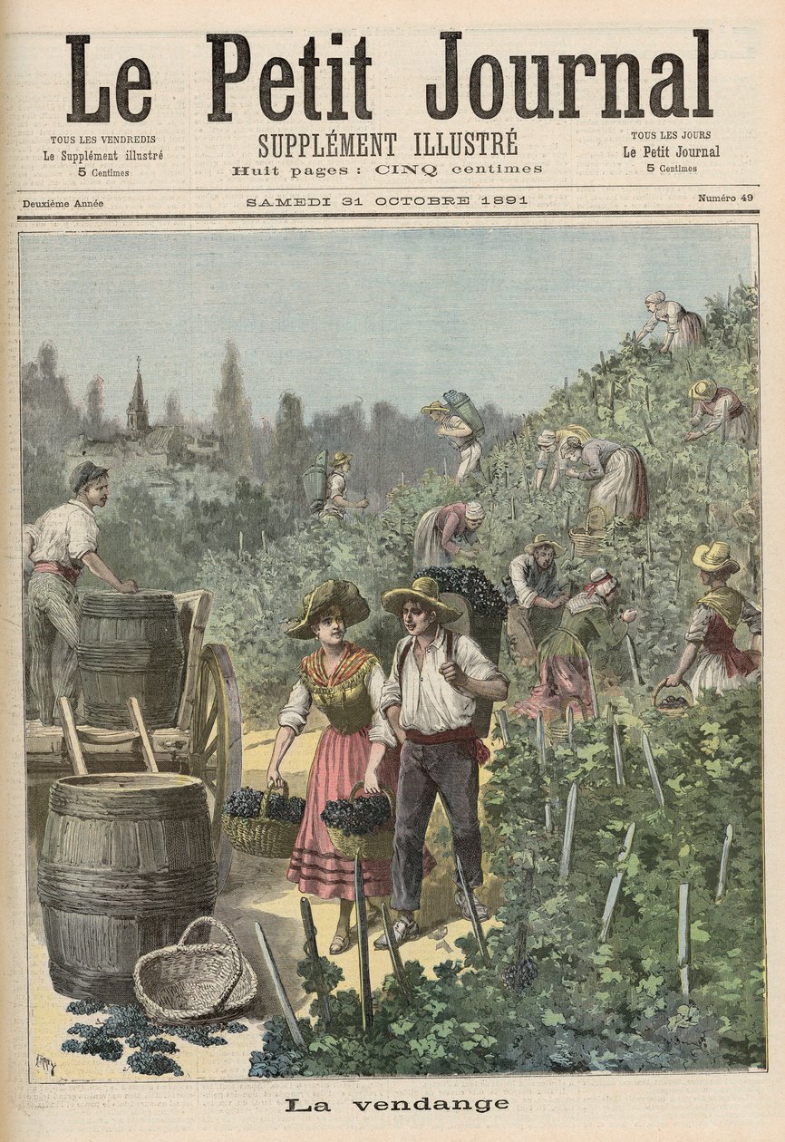 The Wine Harvest, fra 