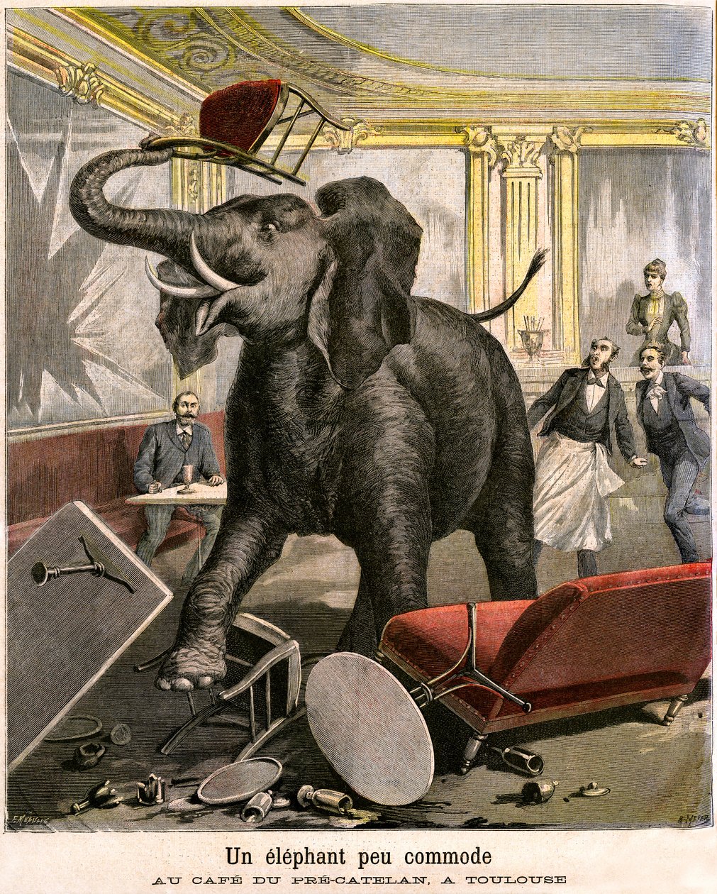 En ubehagelig elefant: pachydermen rømmer fra et sirkusmenasjeri ødelegger alt på kafeen til Pre-Catelan i Toulouse. Gravering av Meaulle og Meyer i siste omslag av PETIT JOURNAL-bilaget illustrert n 51 av 14. november av Fortune Louis and Meyer Henri  Meaulle