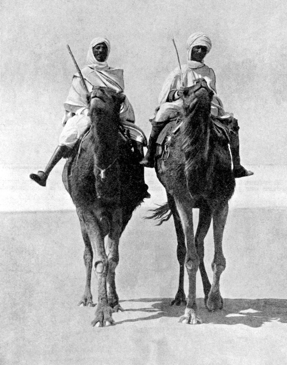 To arabere som rir på kameler i Sahara-ørkenen, Afrika, 1936. av Fox Photos