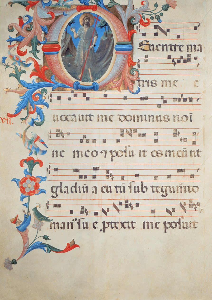 Ms 558 f.55v Side med kornotasjon med en historisk initial 