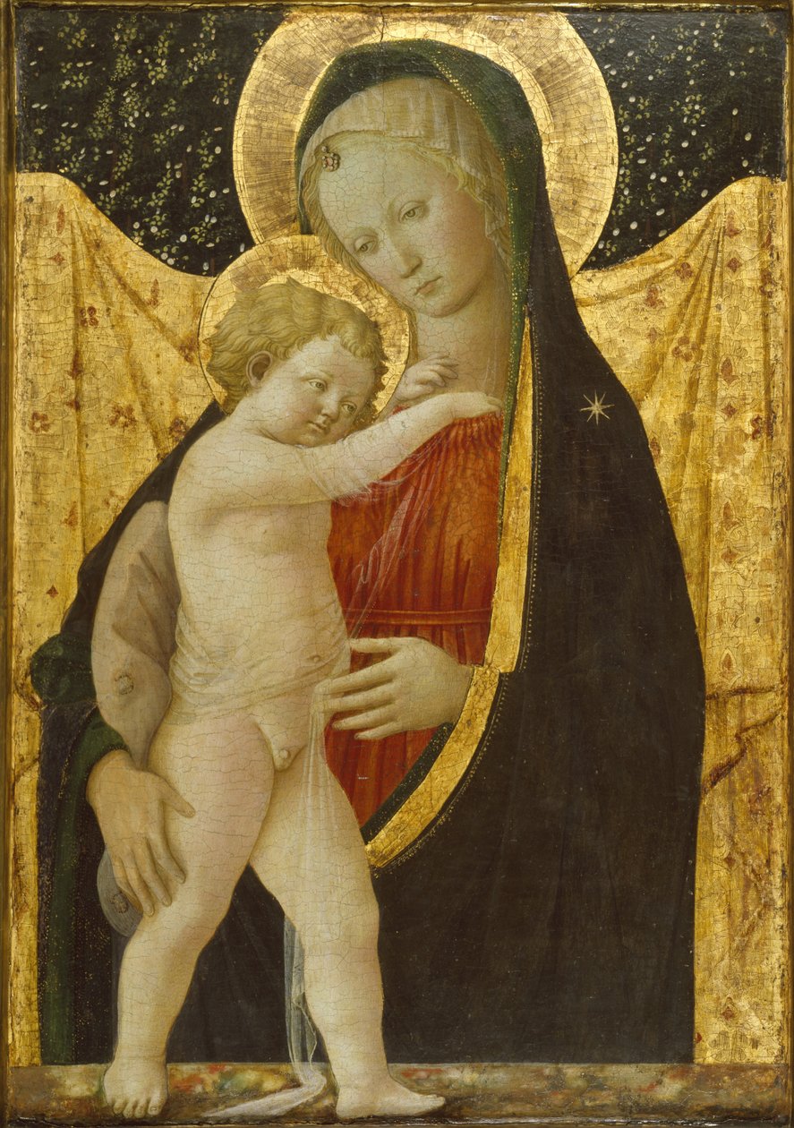 Madonna og barn, ca. 1446-47 (tempera og gull på panel) av Fra Filippo Lippi