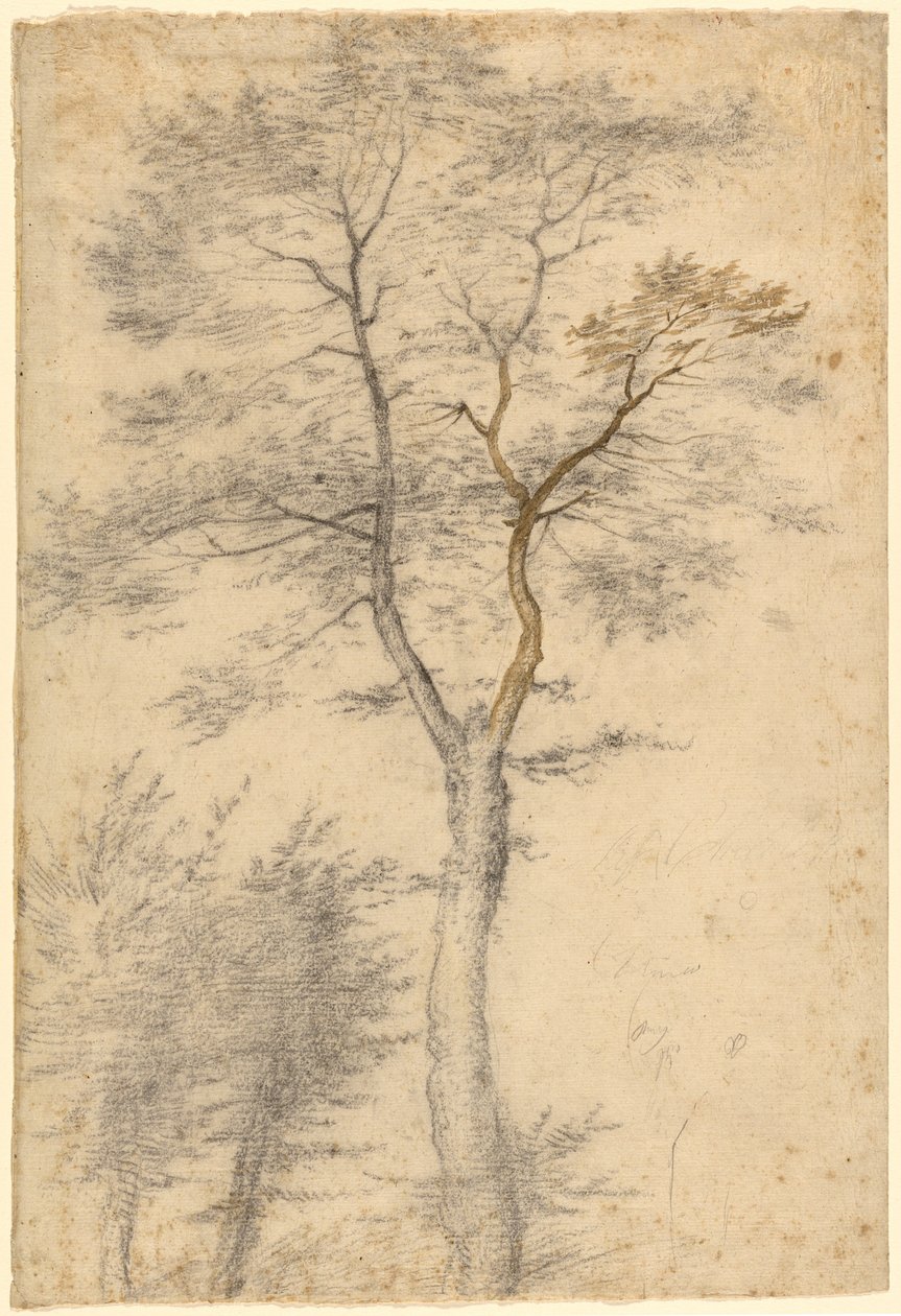  av Fra Bartolommeo (Baccio della Porta)