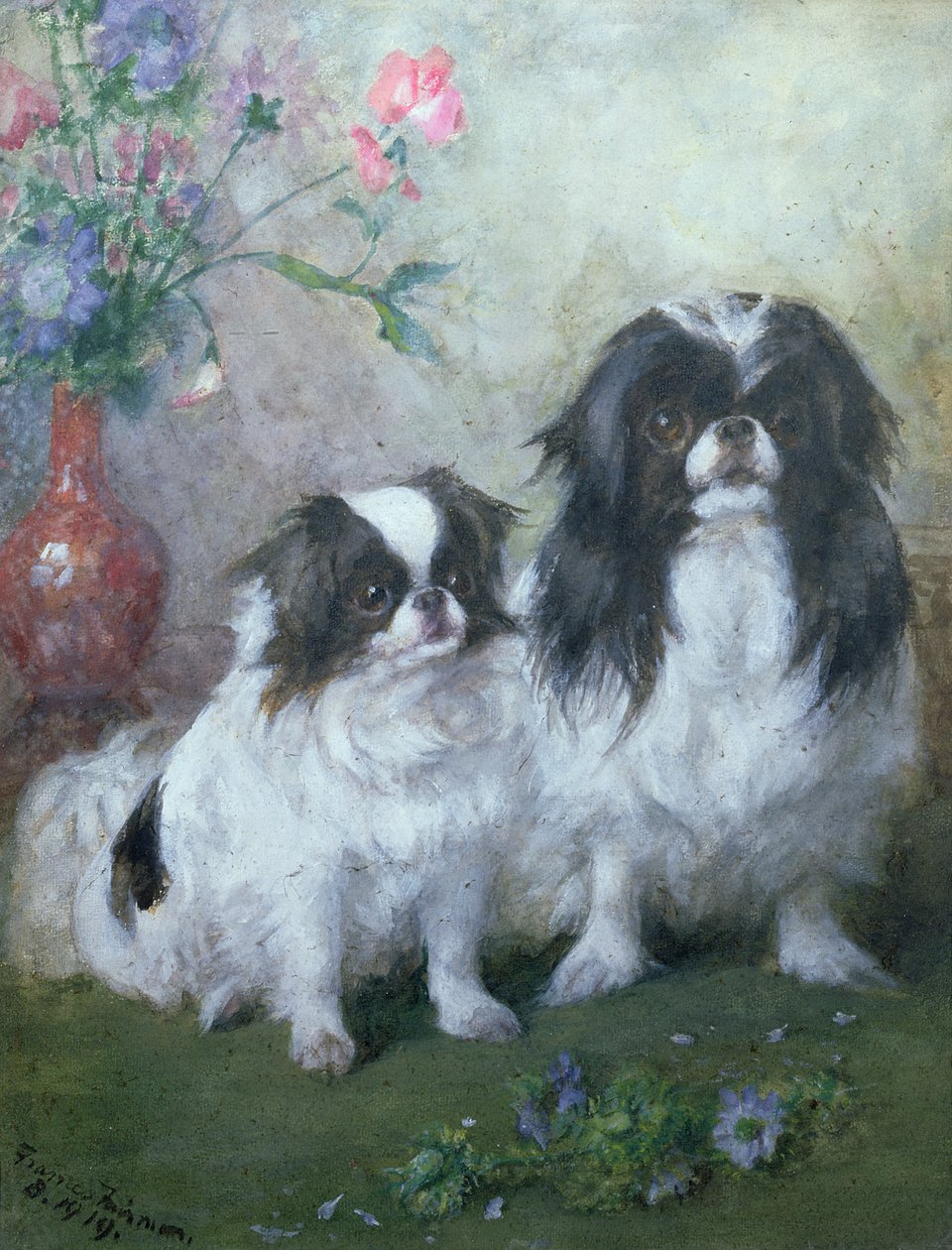 En japansk haketispe og valpen hennes, 1919 (gouache og wc) av Frances C. Fairman