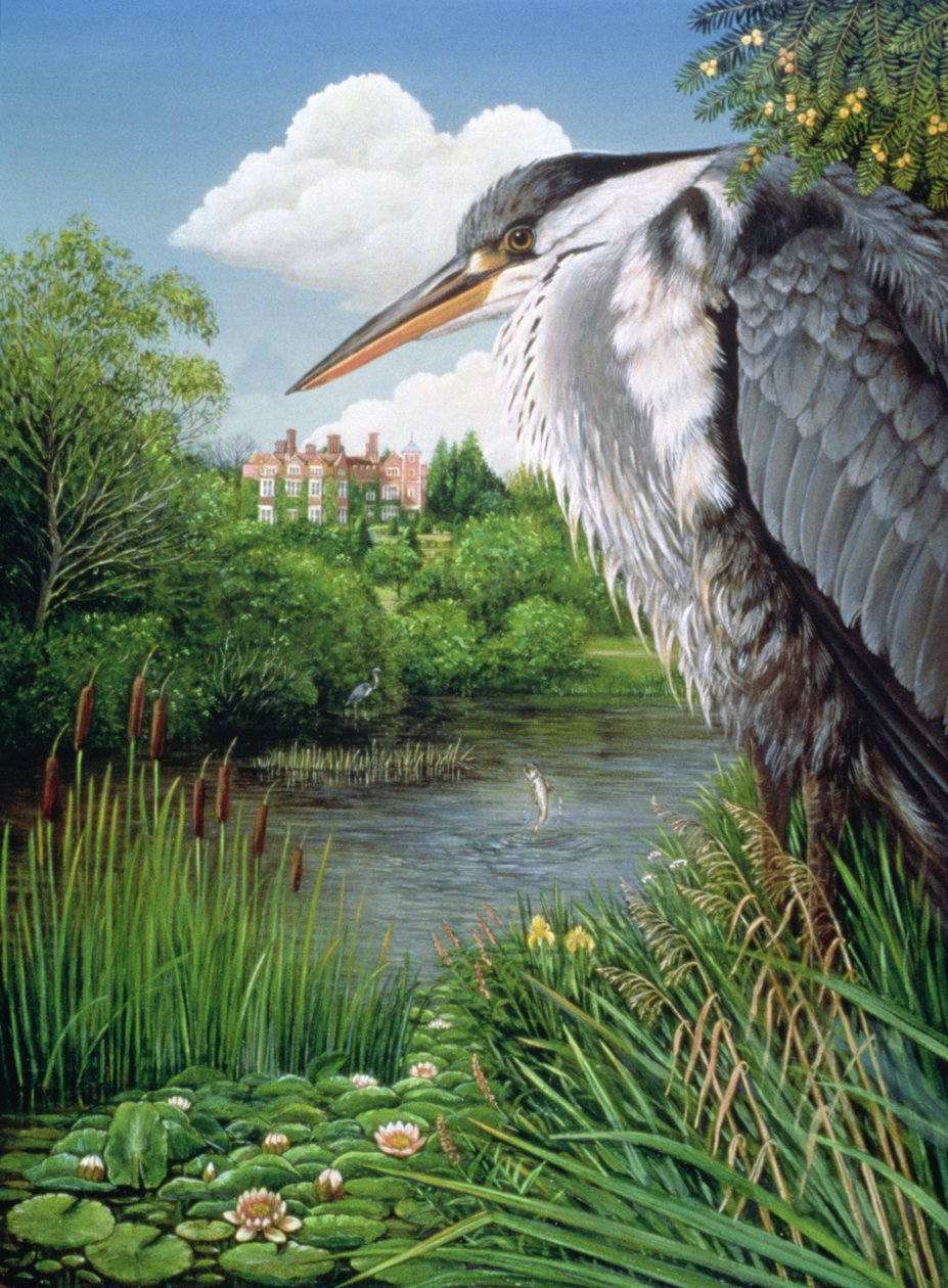 Herons at Chilham, 1986 (olje og tempera på panel) av Frances Broomfield