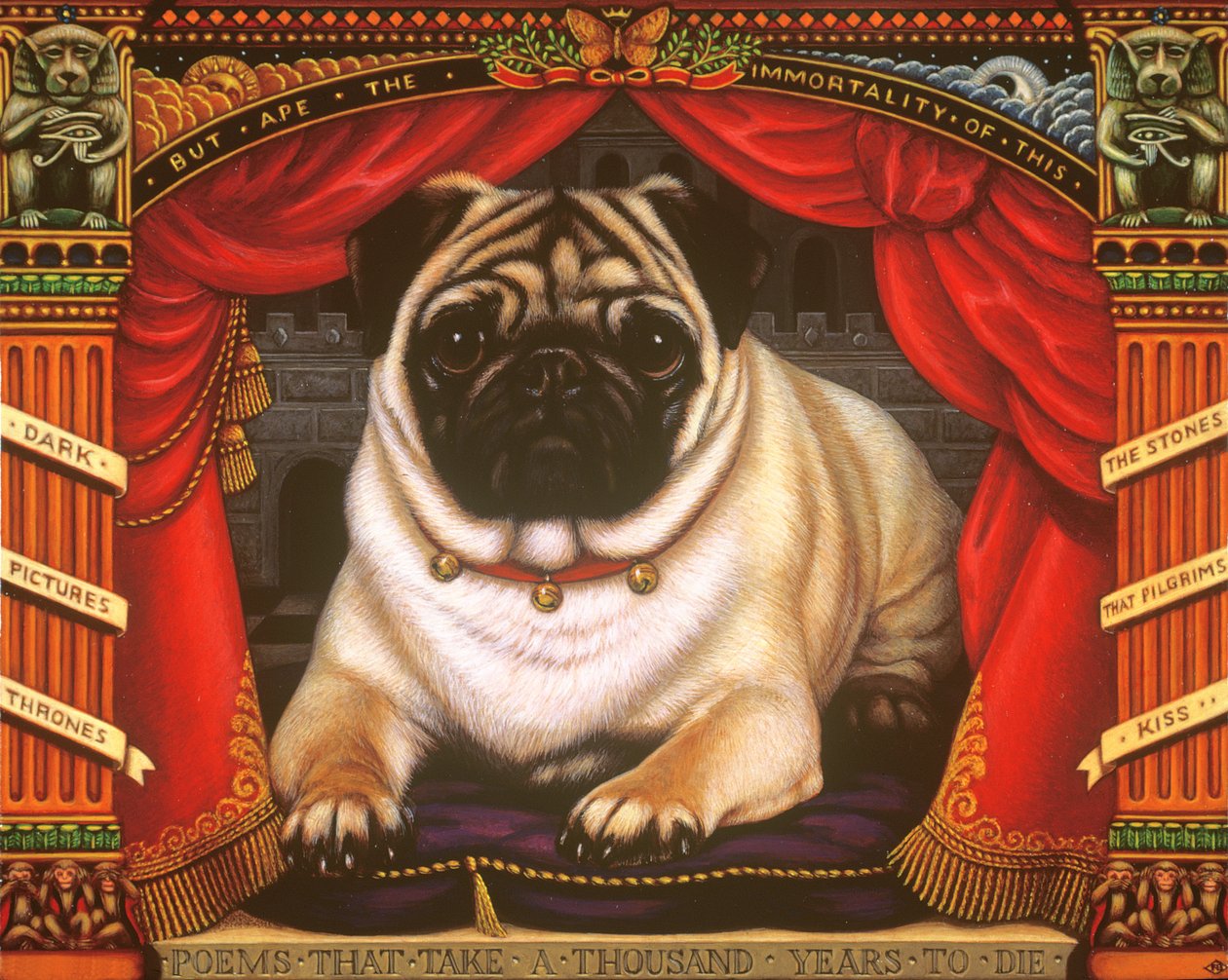 Nabokovs Pug, 2006 (olje og tempera på panel) av Frances Broomfield