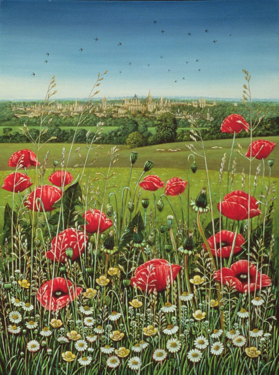 Oxford Poppies, 1983 (olje og tempera på panel) av Frances Broomfield