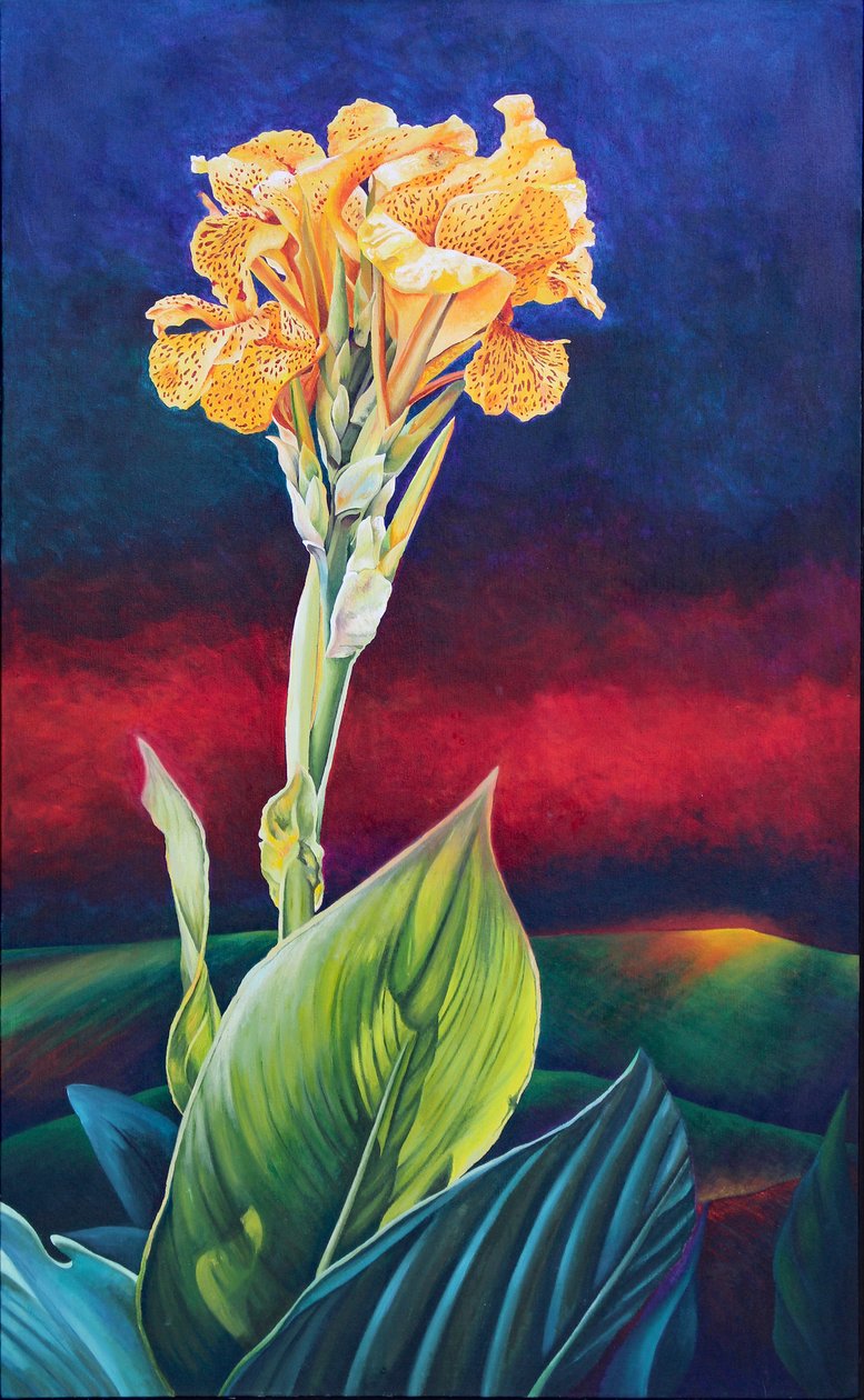Gul Canna Lily av Frances Ferdinands