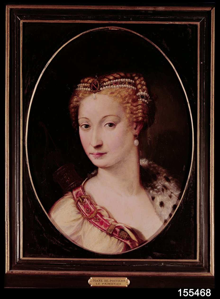 Diane de Poitiers (1499-1566) (olje på skifer) av Francesco Primaticcio