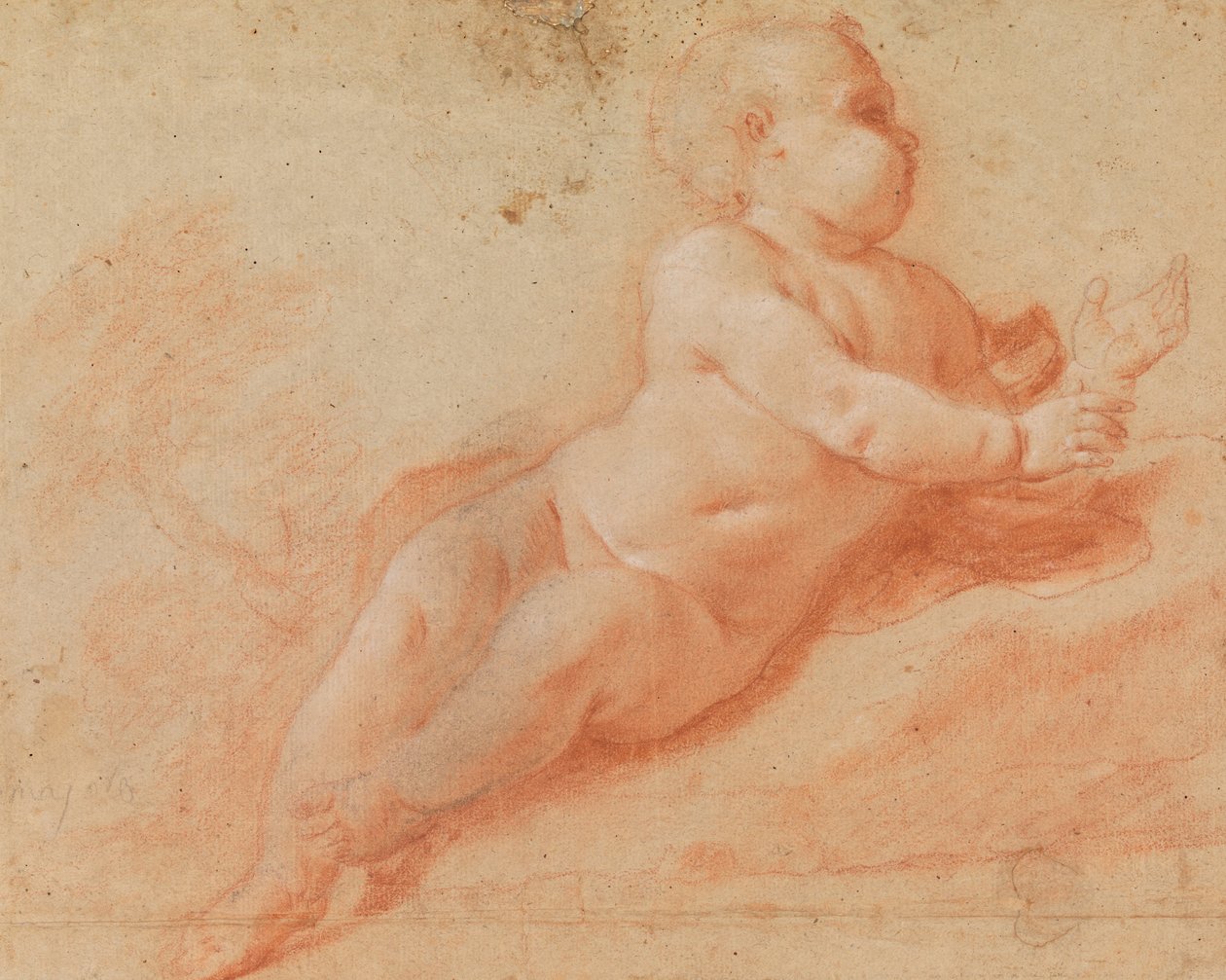 Studie av et nakenbarn av Francesco Saverio Mergolo