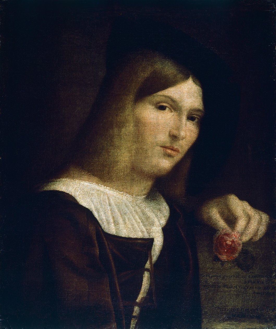 Portrett av en ung mann med en rose av Francesco Torbido