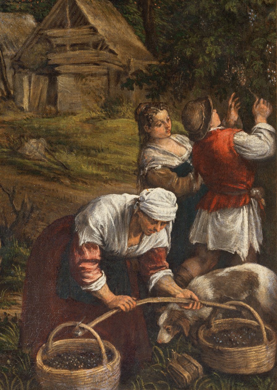 Harvest, (Moses mottar de ti bud), (detalj av 65689), 1576 av Francesco Bassano