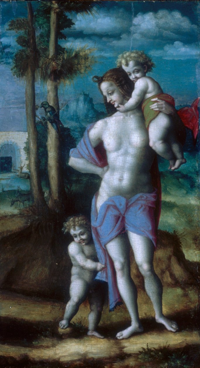  av Francesco Bacchiacca