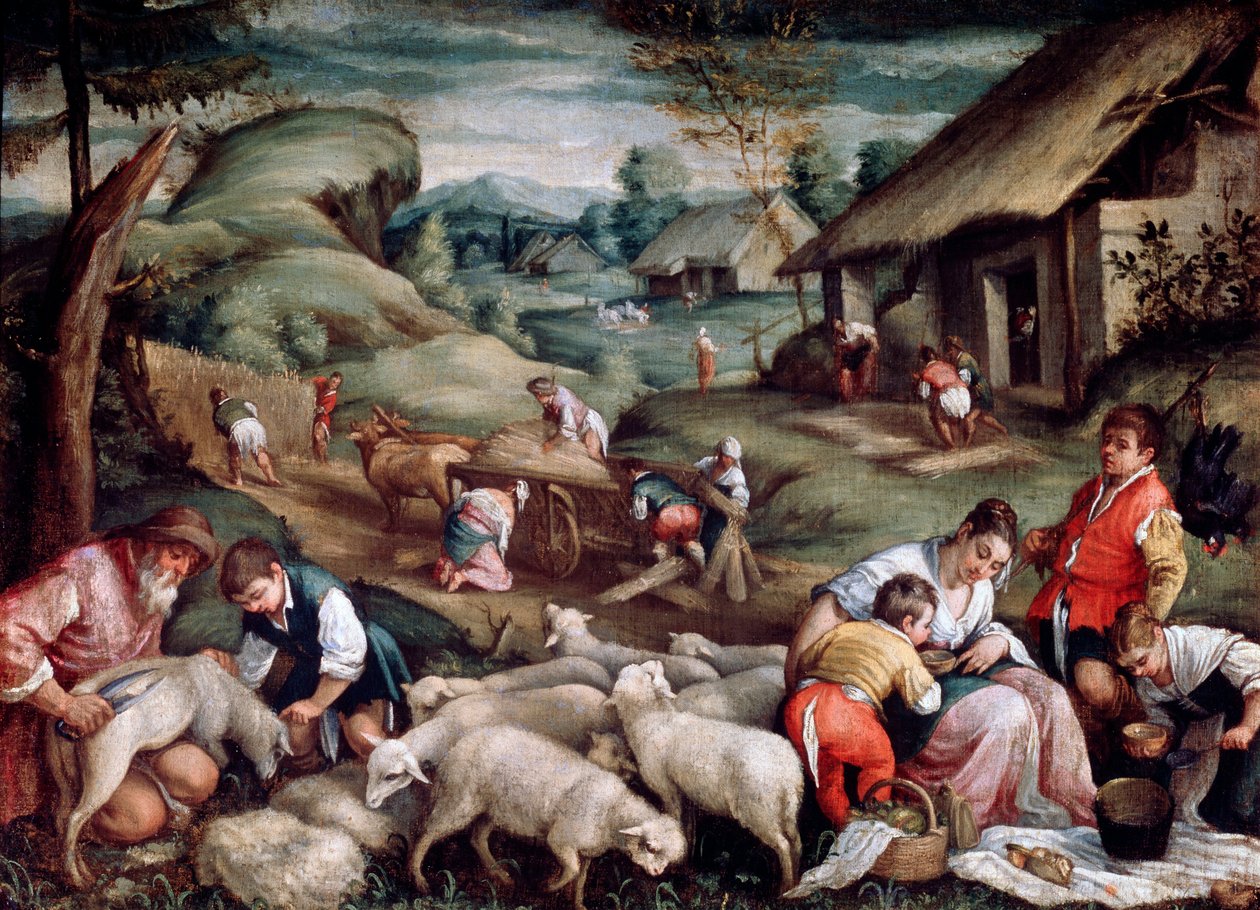 Sommer. Saueklipping, c1570-c1580 av Francesco Bassano the Younger