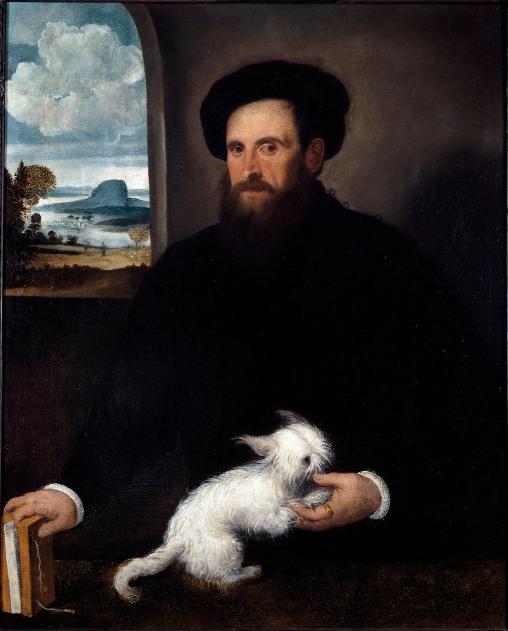 Portrett av herren med den lille hunden Maleri av Francesco Beccaruzzi (ca. 1492-1563) 1540 ca. Mål 101x84 cm Milano, Civic Collections of the Sforzesco Castle av Francesco Beccaruzzi