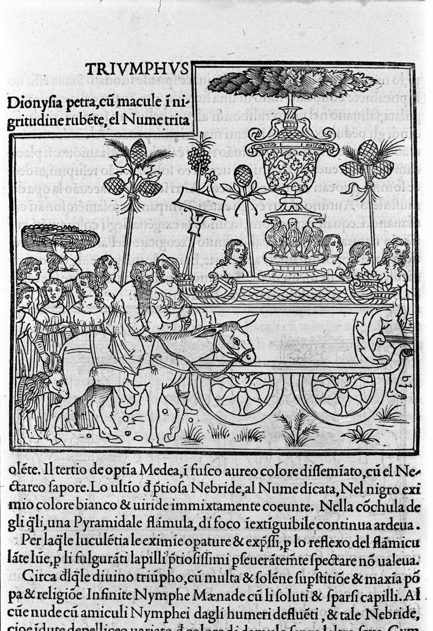 Gravering i "Hypnerotomachia Polyphili" (drømmen om Poliphila) av den dominikanske munken Francesco Colonna, Venezia av Francesco Colonna