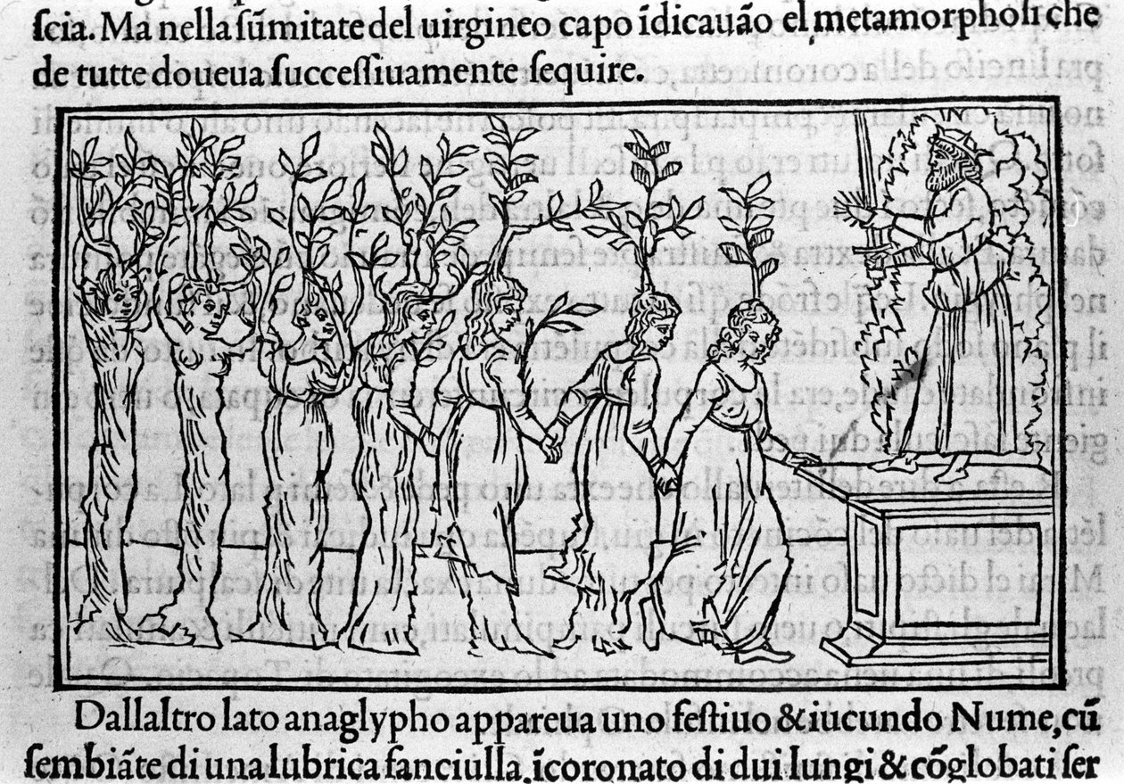 Gravering i "Hypnerotomachia Polyphili" (drømmen om Poliphila) av den dominikanske munken Francesco Colonna, Venezia av Francesco Colonna