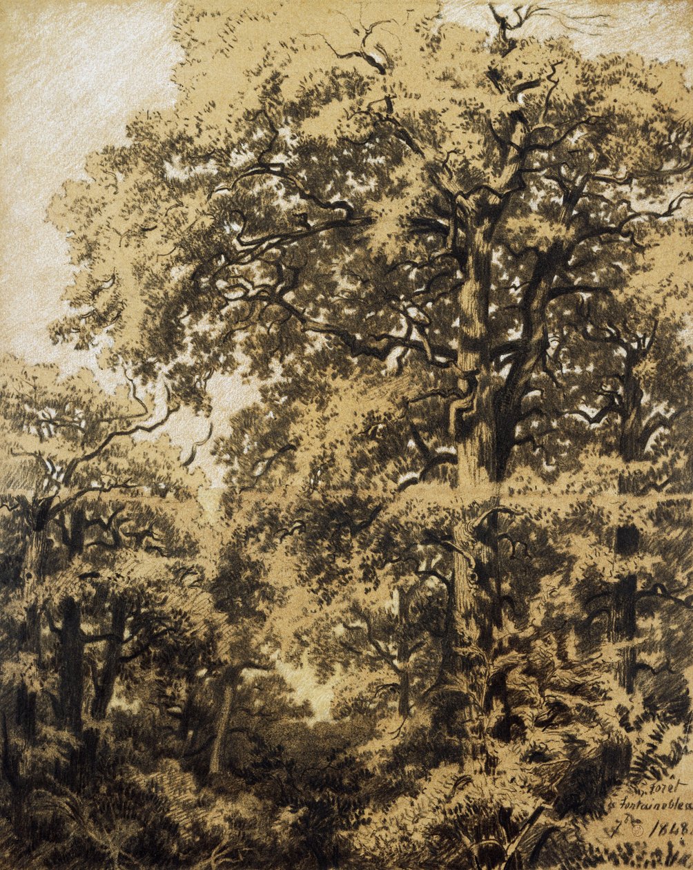 Fontainebleau-skogen av Francesco Gamba