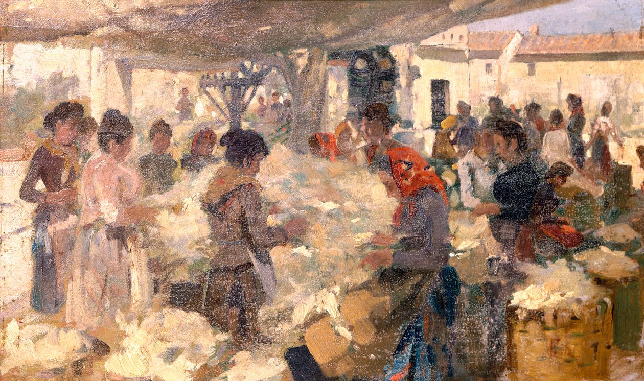 Ullselgeren av Francesco Gioli