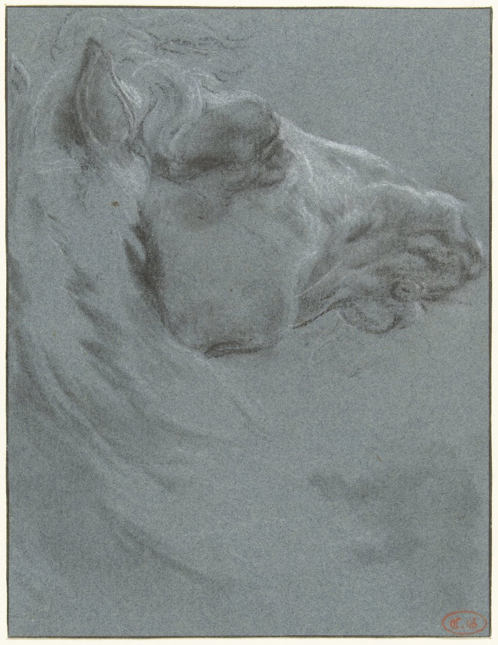 Hodet på en hest av Francesco Giuseppe Casanova