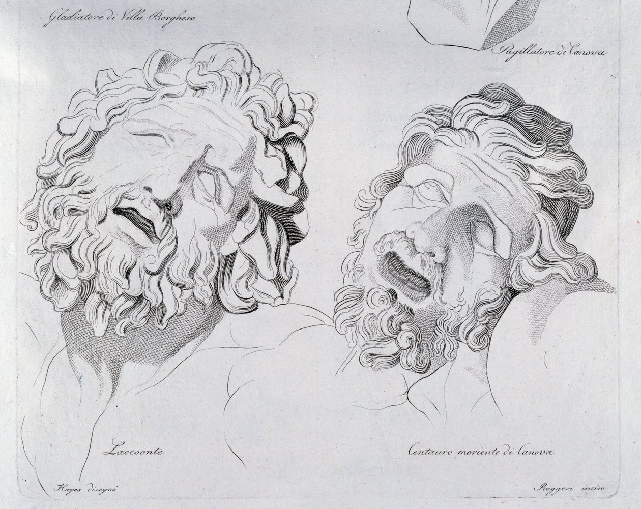 Heads of Laocoon og Centaur moriente av Canova av Francesco Hayez