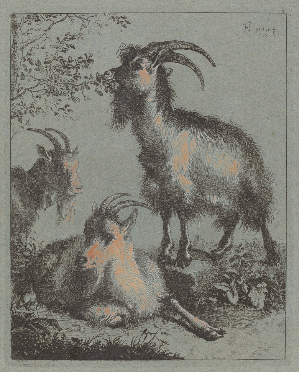 Tre geiter, 1758. av Francesco Londonio