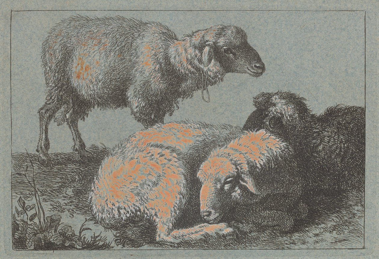 To liggende sauer og en stående sau, 17571758. av Francesco Londonio