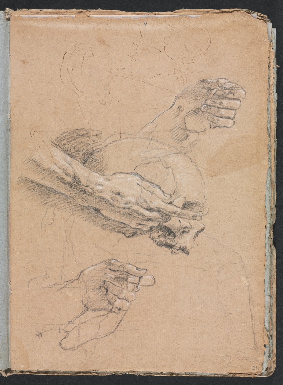 Verona Sketchbook: Studie av hender og hodeskalle (side 21) av Francesco Lorenzi