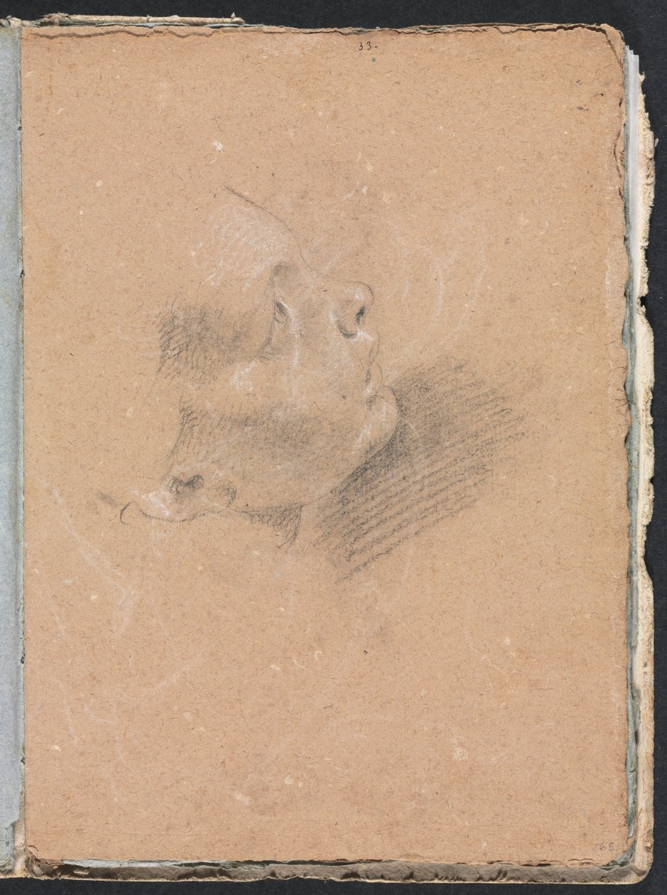 Verona Sketchbook: Kvinnelig profil side 65, 1760. av Francesco Lorenzi