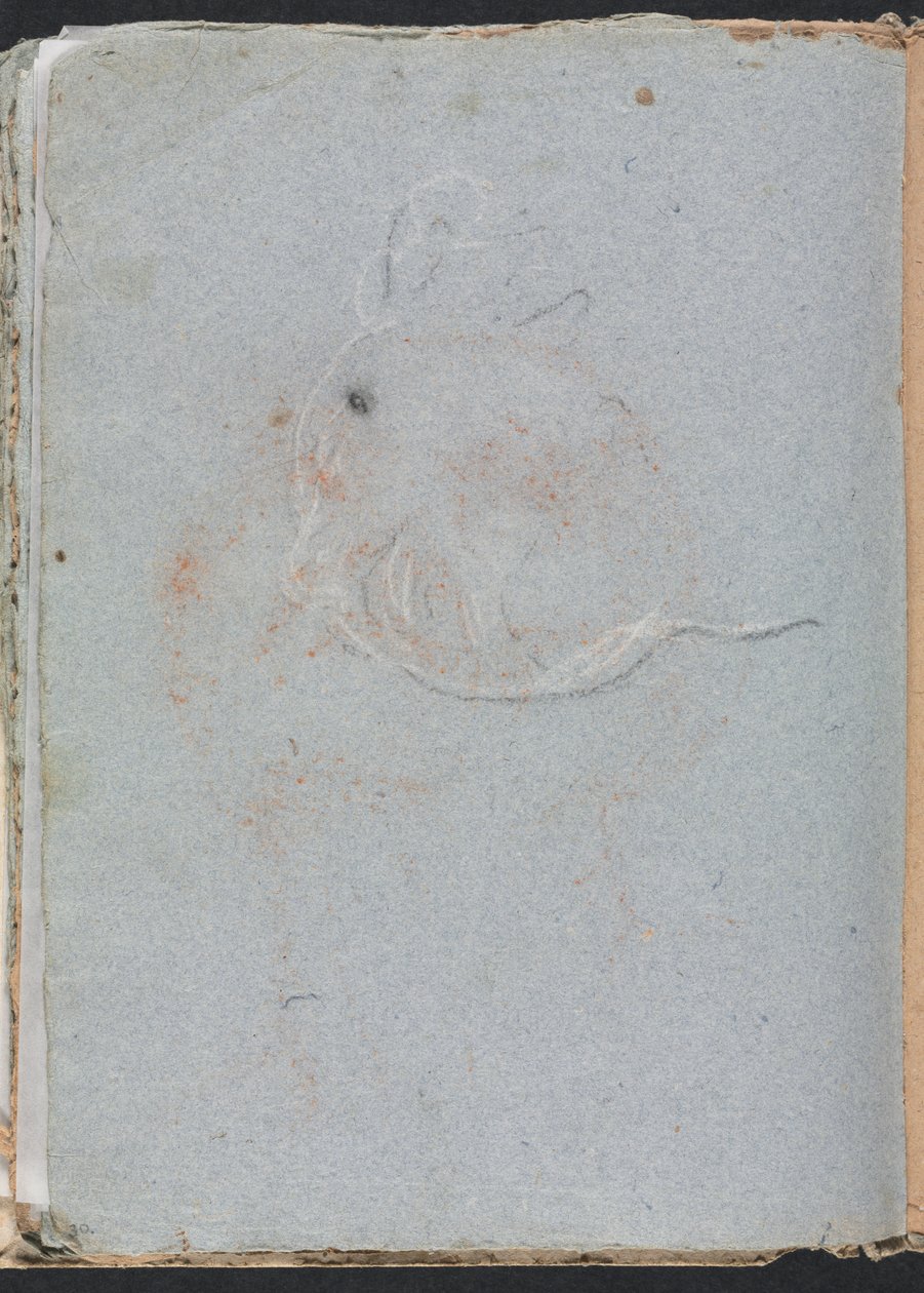 Verona Sketchbook: Head (side 30) av Francesco Lorenzi
