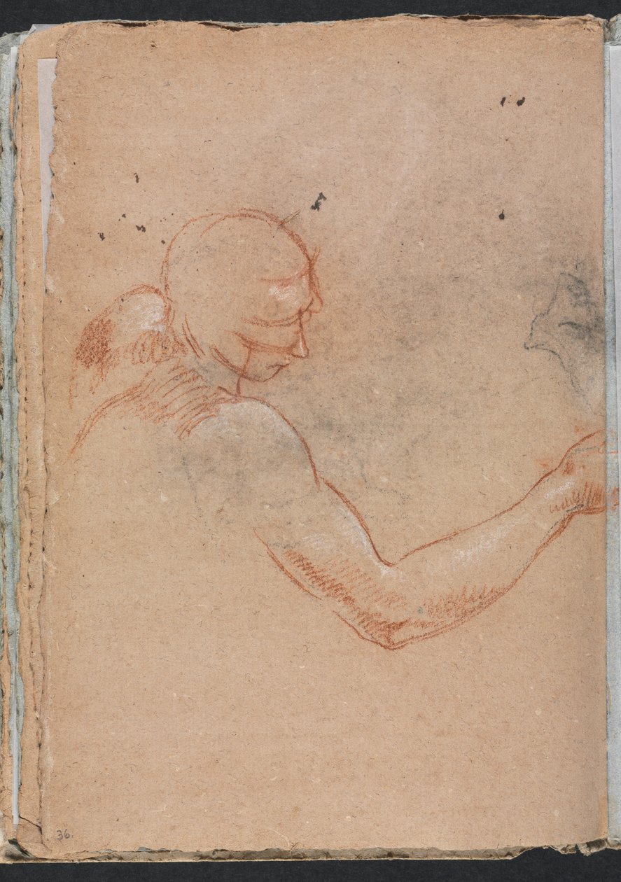 Verona Sketchbook: Naken med hode og høyre arm (side 36) av Francesco Lorenzi