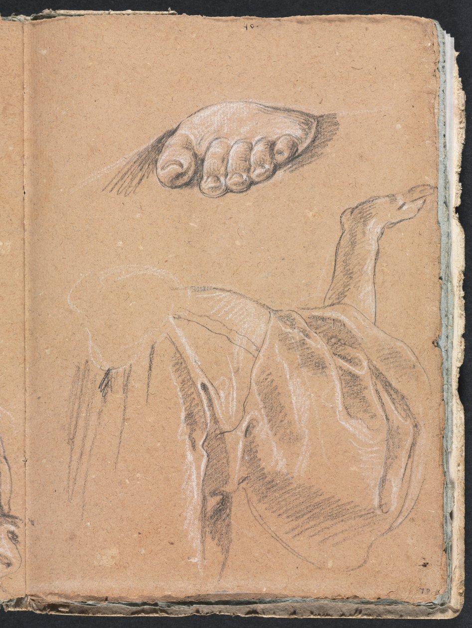 Verona Sketchbook: Studie av en venstre fot og draperistudie med høyre arm (side 79) av Francesco Lorenzi