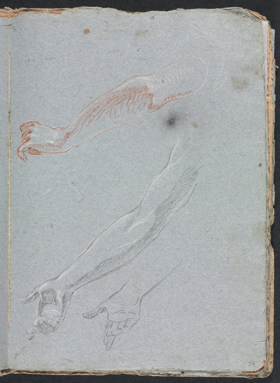 Verona Sketchbook: Studie av hender og armer (side 29) av Francesco Lorenzi