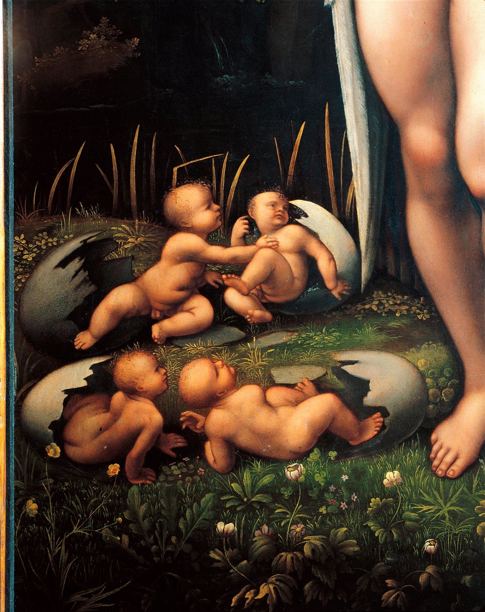  av Francesco Melzi or Melzo