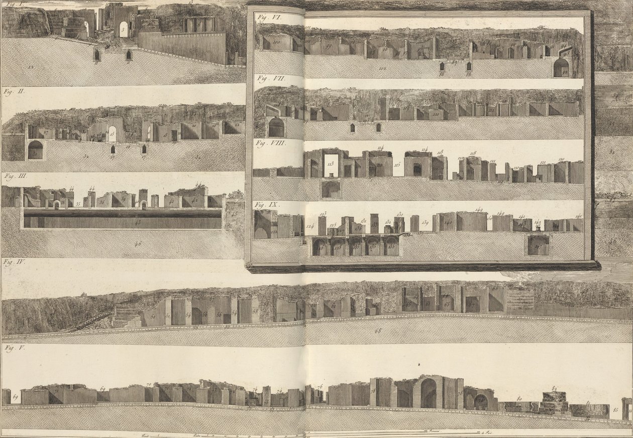 Tverrsnitt, som viser de forskjellige aspektene ved bygningene vist i planen til Pom..., 1804. av Francesco Piranesi