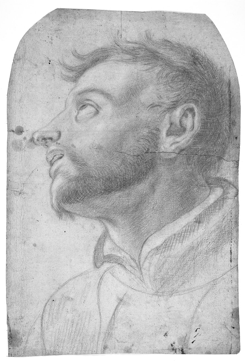 Hode av en mann som ser oppover av Francesco Solimena