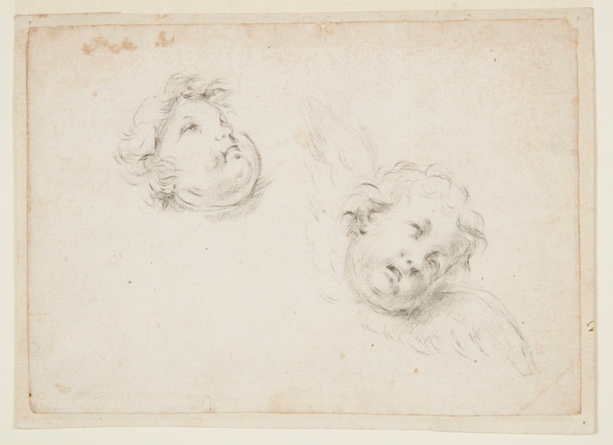 Studie for to kjeruber av Francesco Solimena