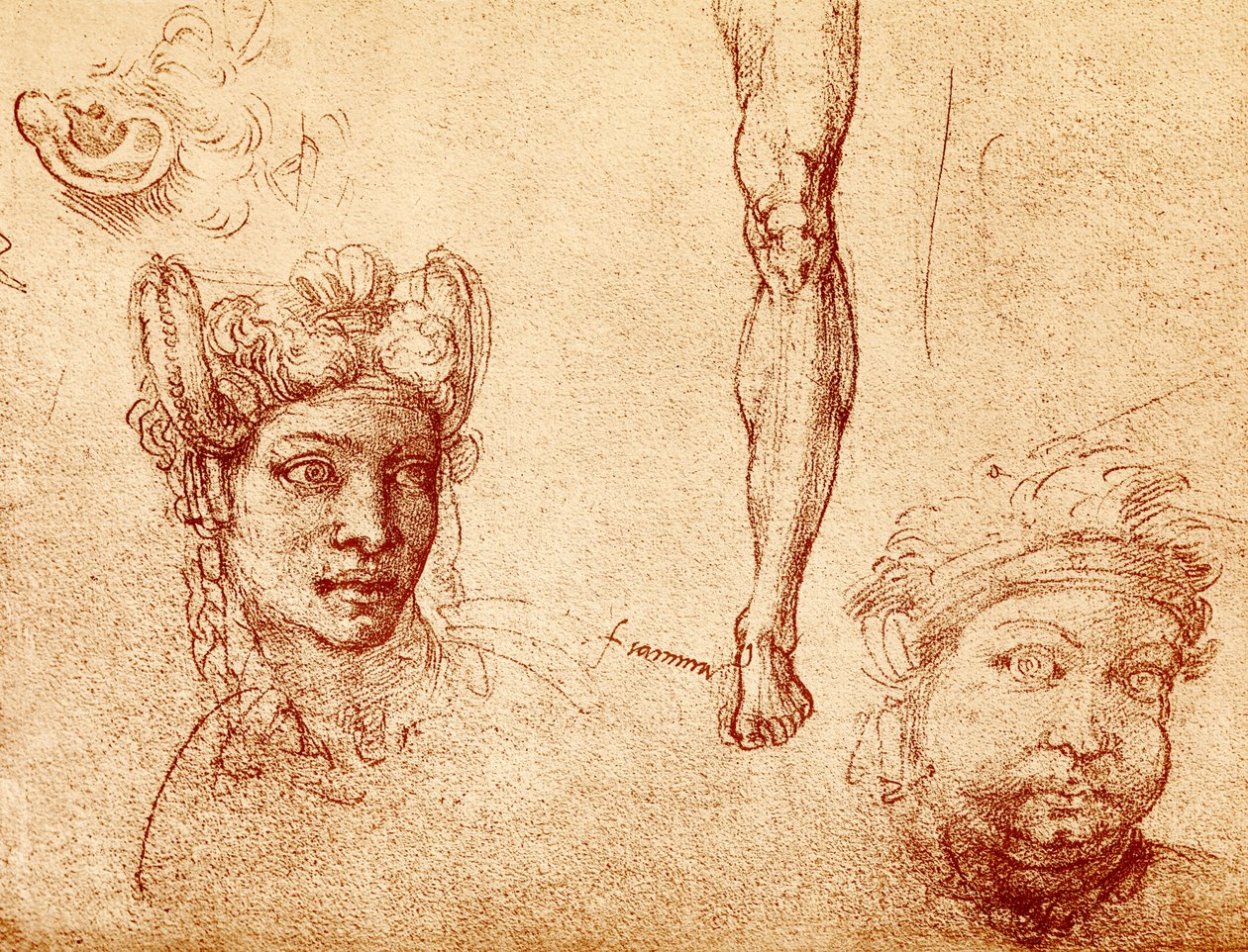 Hode- og benstudier av Francesco Ubertini Bacchiacca