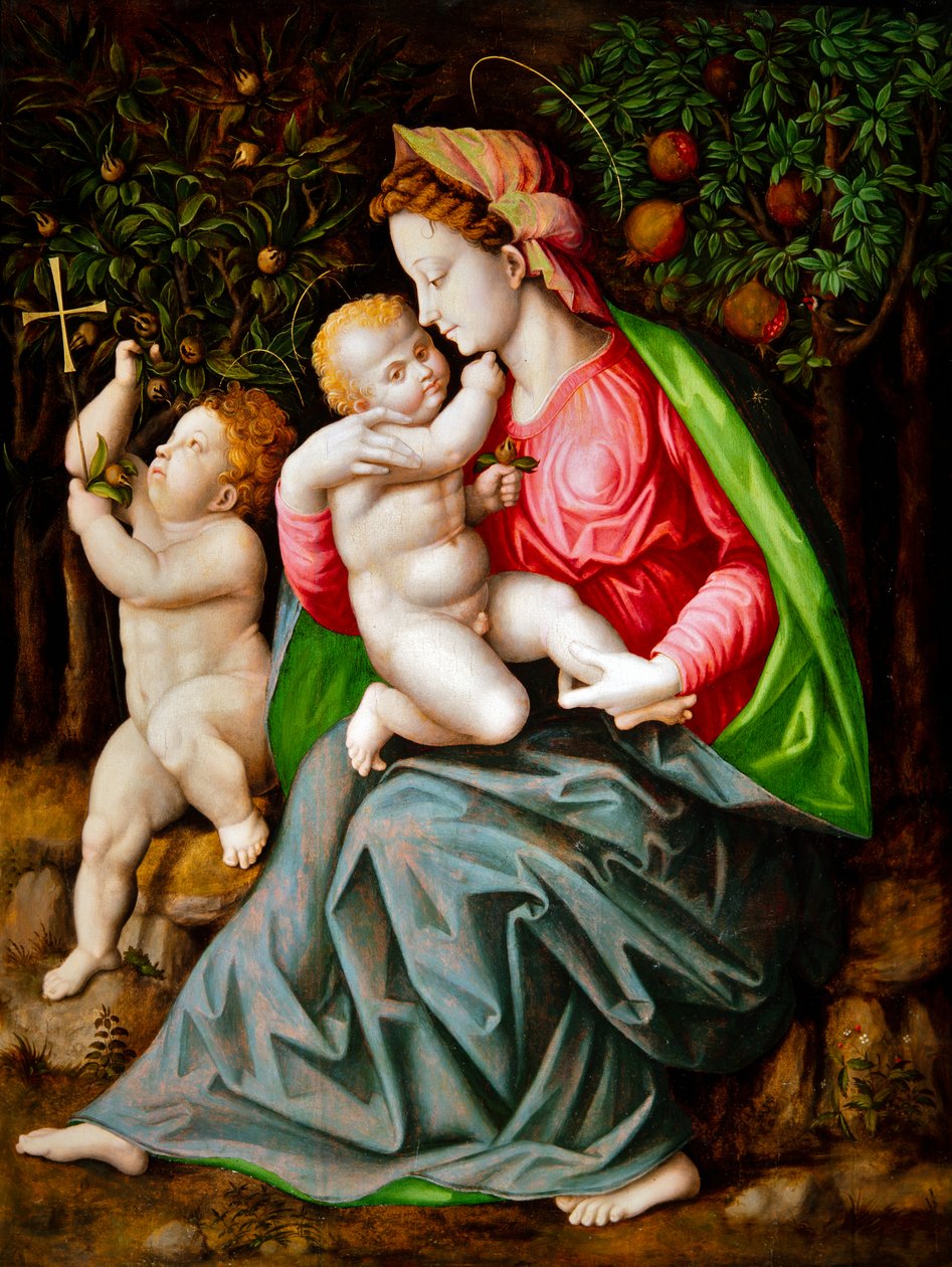 av Francesco Ubertini Il Bacchiacca