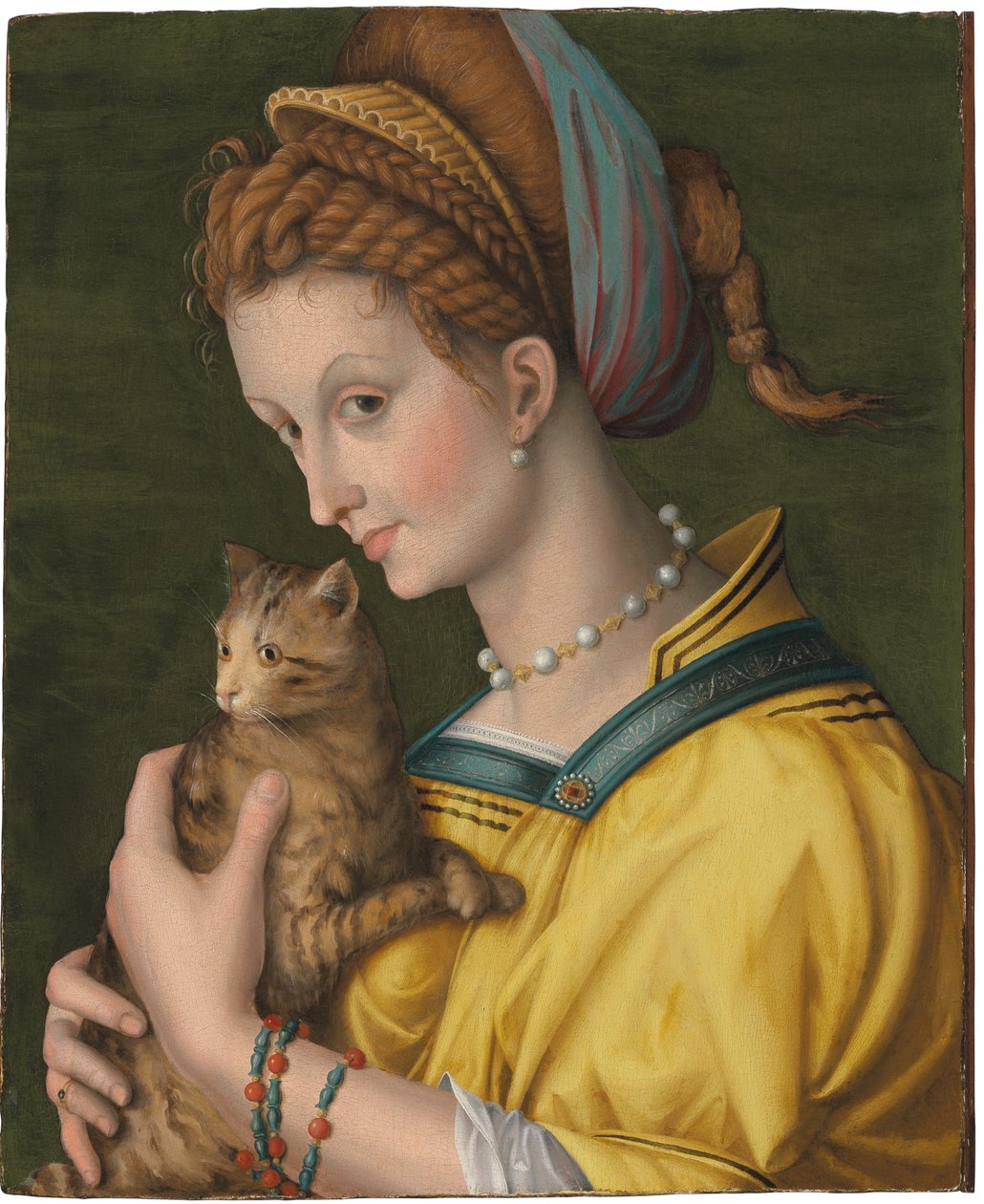 Portrett av en ung dame som holder en katt av Francesco Ubertini Verdi Bachiacca